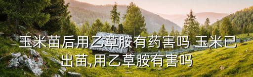 什么農藥對玉米有危害嗎,玉米治蟲用什么農藥好