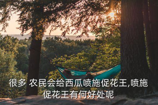 很多 農(nóng)民會(huì)給西瓜噴施促花王,噴施促花王有何好處呢