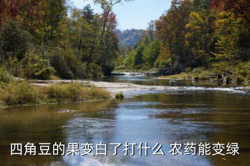 四角豆的果變白了打什么 農藥能變綠