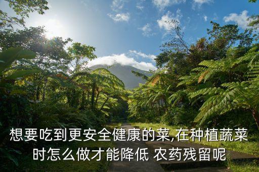 想要吃到更安全健康的菜,在種植蔬菜時怎么做才能降低 農藥殘留呢