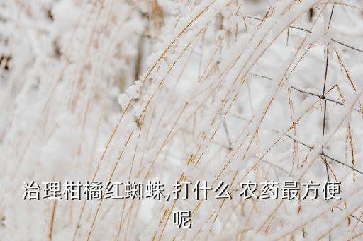 治理柑橘紅蜘蛛,打什么 農(nóng)藥最方便呢