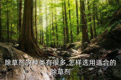除草劑的種類有很多,怎樣選用適合的除草劑