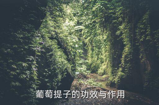  葡萄提子的功效與作用