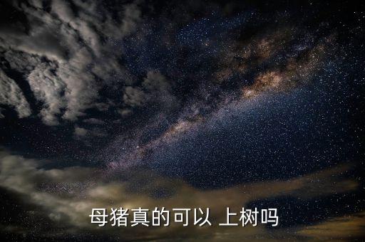  母豬真的可以 上樹嗎