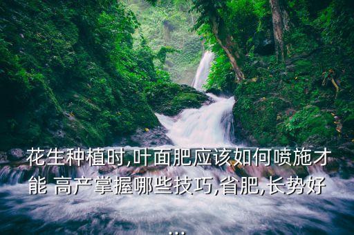  花生種植時,葉面肥應該如何噴施才能 高產掌握哪些技巧,省肥,長勢好...