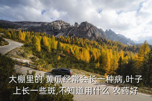 種植黃瓜用什么農(nóng)藥好用,黃瓜種植管理技術(shù)