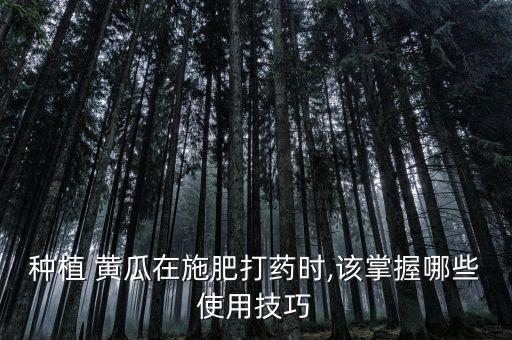 個人種黃瓜用什么農藥好,黃瓜打什么農藥