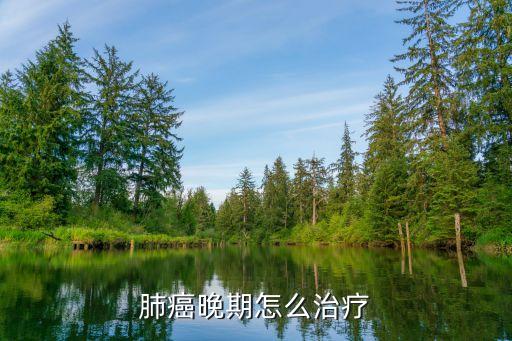 肺癌晚期怎么治療