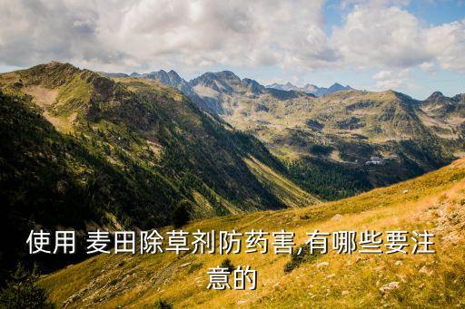 麥田里可以澆什么農藥嗎