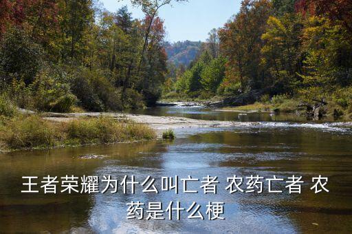 王者榮耀為什么叫亡者 農(nóng)藥亡者 農(nóng)藥是什么梗