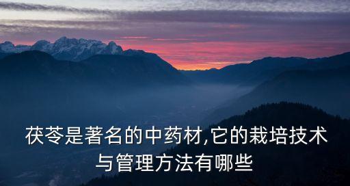  茯苓是著名的中藥材,它的栽培技術與管理方法有哪些