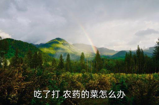 吃了打 農(nóng)藥的菜怎么辦