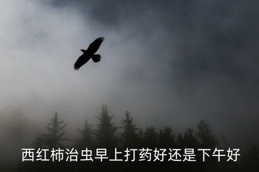西紅柿種植什么時(shí)候打農(nóng)藥,種植西紅柿的技術(shù)和方法
