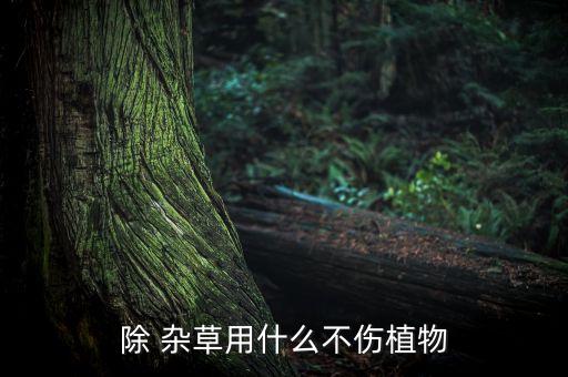 什么農藥可除雜草,滅雜草用什么農藥最好