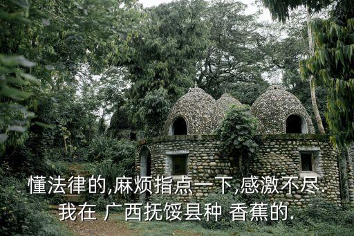 懂法律的,麻煩指點(diǎn)一下,感激不盡.我在 廣西撫餒縣種 香蕉的.