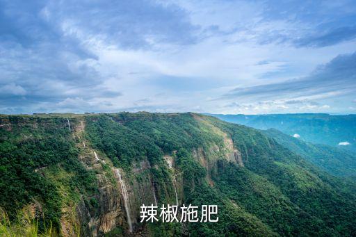  辣椒施肥