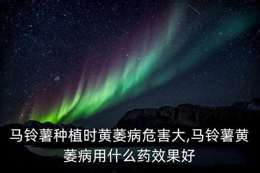 馬鈴薯種植時黃萎病危害大,馬鈴薯黃萎病用什么藥效果好