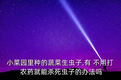 小菜園里種的蔬菜生蟲子,有 不用打 農藥就能殺死蟲子的辦法嗎