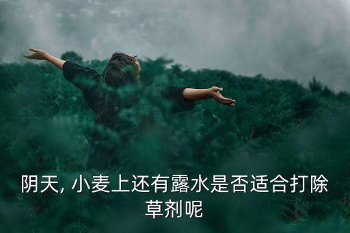 小麥發(fā)芽了用什么農(nóng)藥,拌了農(nóng)藥的小麥種子發(fā)芽后還有毒嗎