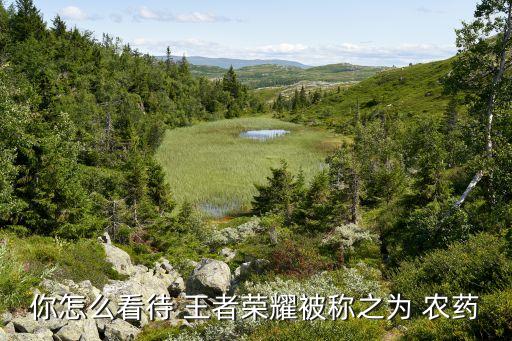農(nóng)藥王者是什么,王者農(nóng)藥單機(jī)版下載