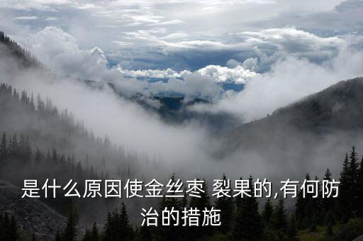 是什么原因使金絲棗 裂果的,有何防治的措施