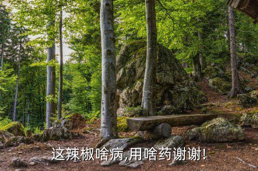 黃萎病有什么農藥,茄子黃萎病最好的農藥