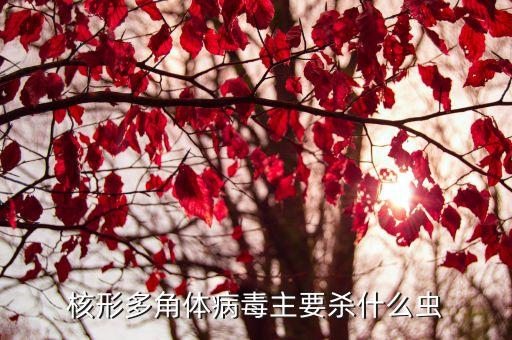 核形多角體病毒主要?dú)⑹裁聪x(chóng)