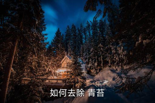 如何去除 青苔