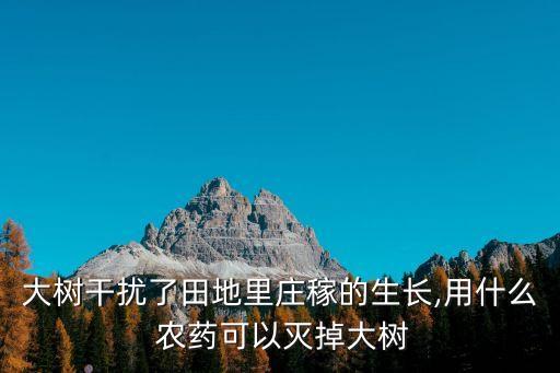 大樹干擾了田地里莊稼的生長,用什么 農藥可以滅掉大樹