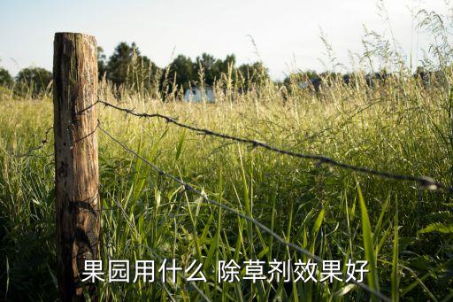 果園用什么 除草劑效果好