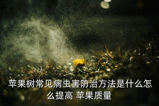  蘋果樹常見病蟲害防治方法是什么怎么提高 蘋果質量