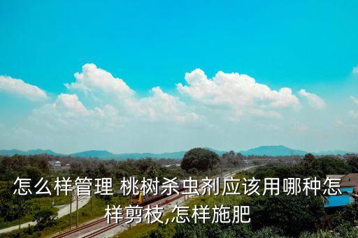 怎么樣管理 桃樹殺蟲劑應(yīng)該用哪種怎樣剪枝,怎樣施肥