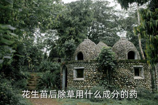  花生苗后除草用什么成分的藥