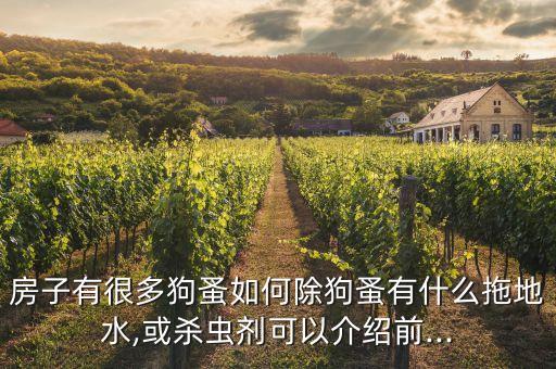 房子有很多狗蚤如何除狗蚤有什么拖地水,或殺蟲劑可以介紹前...