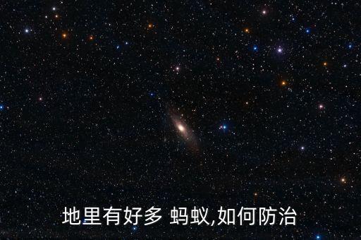 地里有好多 螞蟻,如何防治