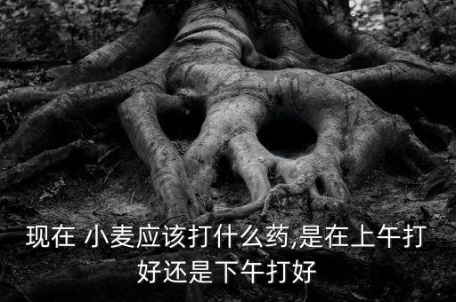現在 小麥應該打什么藥,是在上午打好還是下午打好
