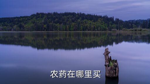  農(nóng)藥在哪里買