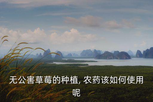 無公害草莓的種植, 農藥該如何使用呢