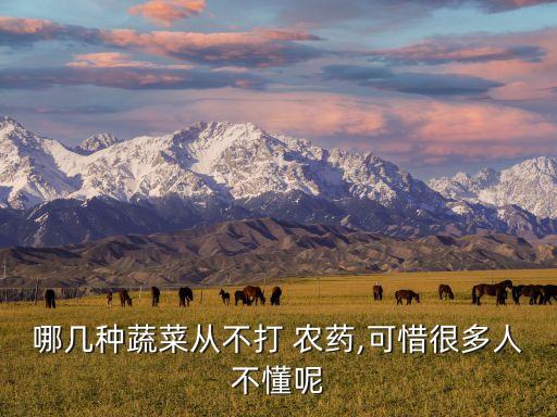 哪幾種蔬菜從不打 農藥,可惜很多人不懂呢
