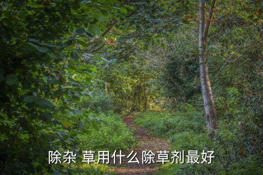除雜 草用什么除草劑最好