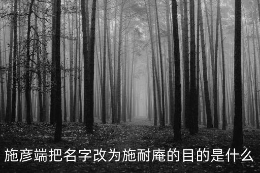 施彥端把名字改為施耐庵的目的是什么