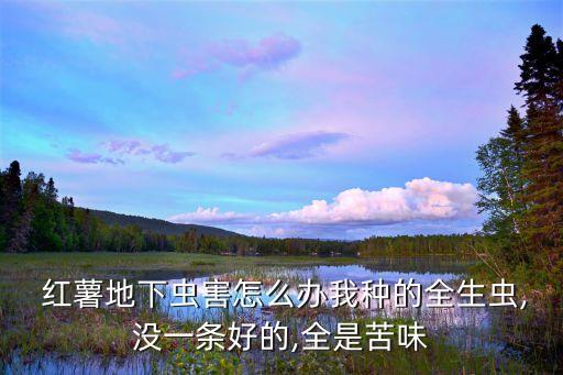  紅薯地下蟲害怎么辦我種的全生蟲,沒一條好的,全是苦味