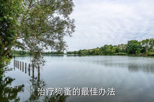 滅狗蚤用什么農(nóng)藥