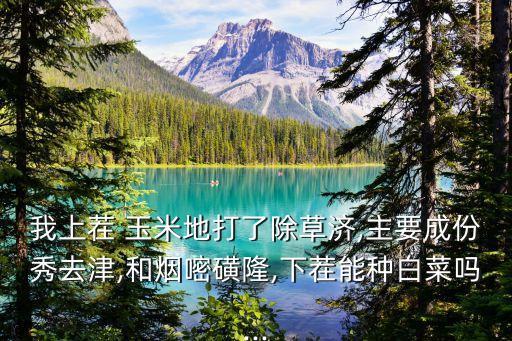 我上茬 玉米地打了除草濟,主要成份秀去津,和煙嘧磺隆,下茬能種白菜嗎...