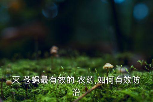 滅 蒼蠅最有效的 農藥,如何有效防治