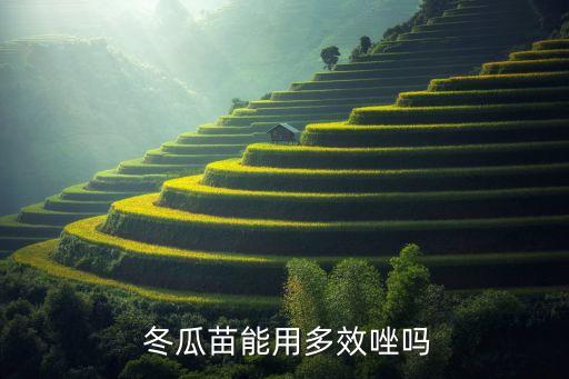  冬瓜苗能用多效唑嗎