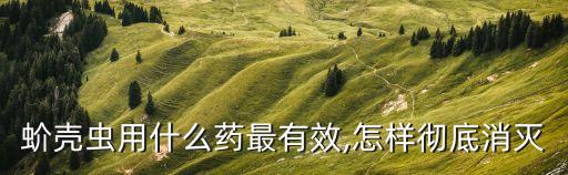 蚧殼蟲 什么農藥