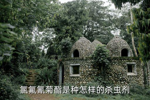 氟氰唑是什么農(nóng)藥,噻蟲高氯氟是什么農(nóng)藥