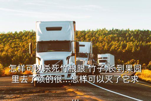 怎樣可以殺死竹根跟 竹子,長到果園里去了煩的很...怎樣可以滅了它求...