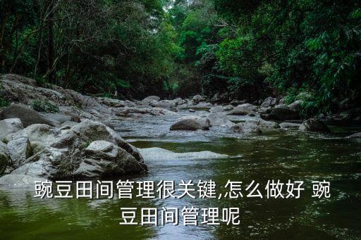 豌豆苗打什么農藥最佳